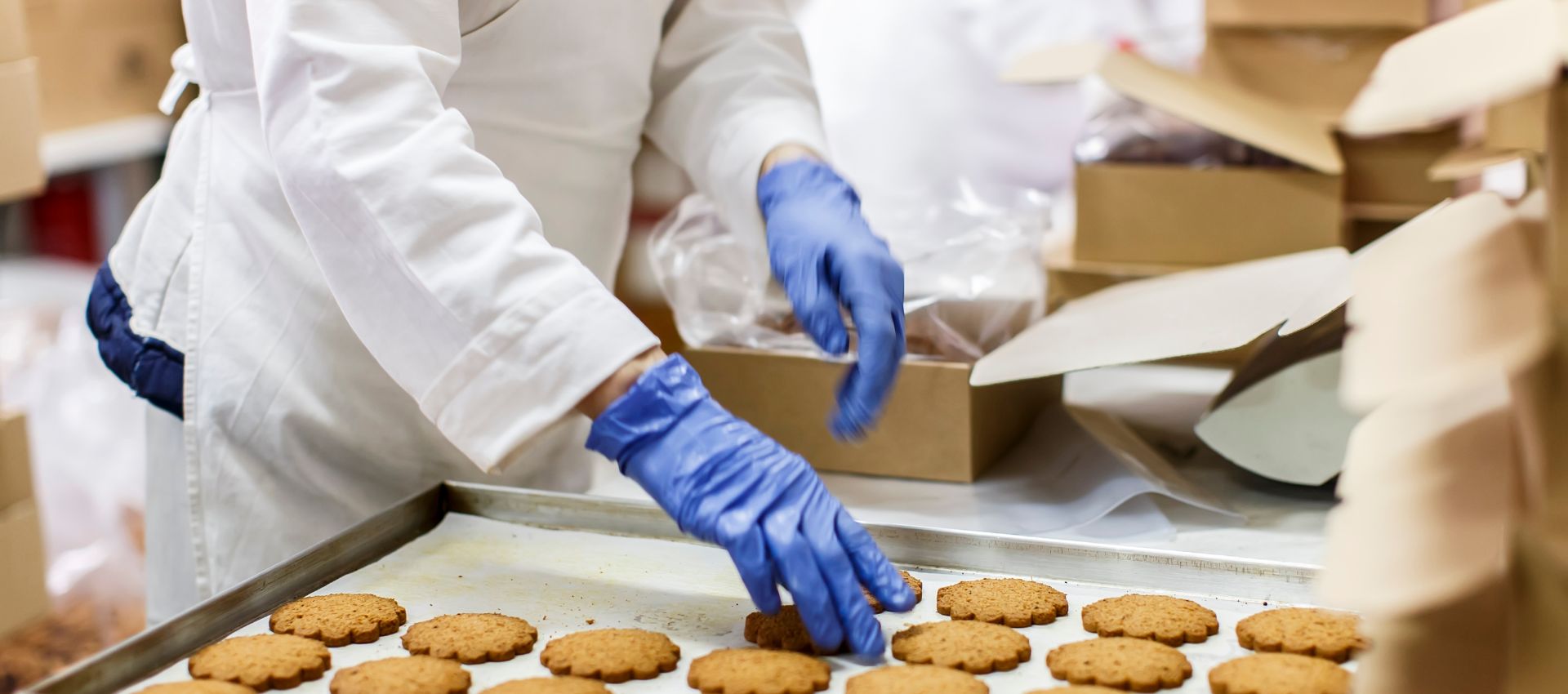  Impulsione Seu Negócio!